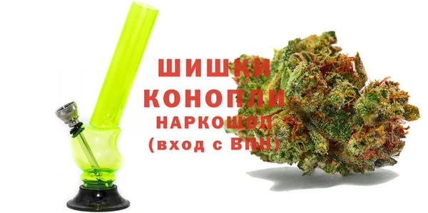 гидра Краснослободск