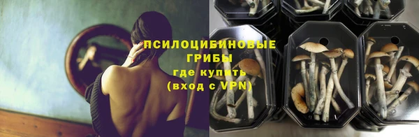 мет Ладушкин