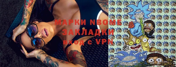 гидра Краснослободск