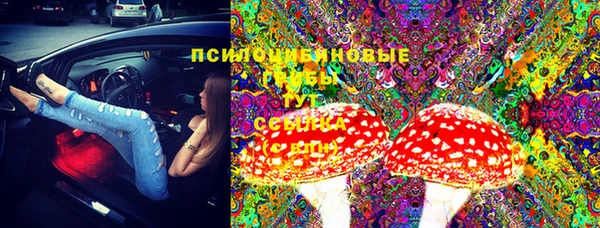 гидра Краснослободск