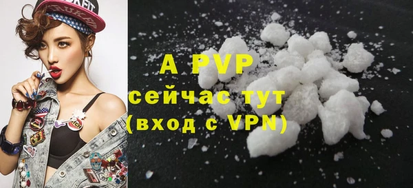 гидра Краснослободск